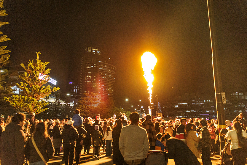 232-Firelight-2026-2.jpg