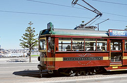 New City Circle trams
