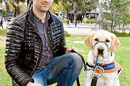 Training a guide dog