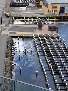 Harbour pollution swells with high rainfall: Council