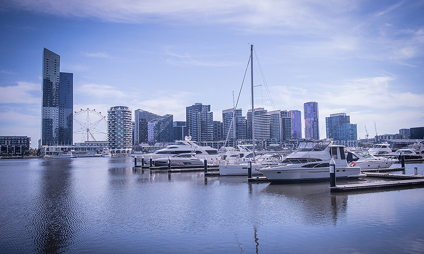 Precinct support to provide a busy summer for Docklands