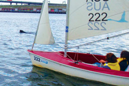 Seal joins sailing program